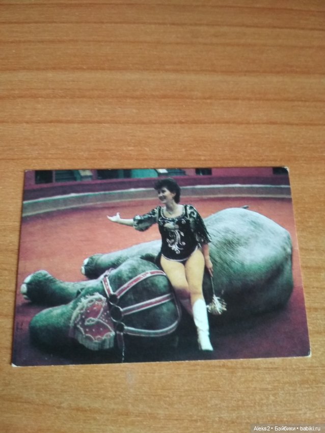 Мои карманные календарики Советский цирк из детства 6 часть