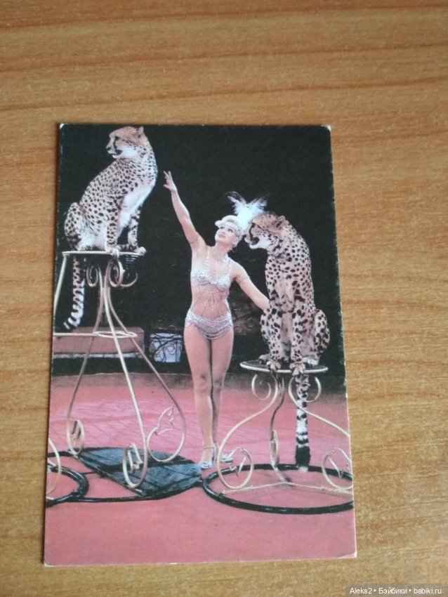 Мои карманные календарики Советский цирк из детства 6 часть (фото 2)
