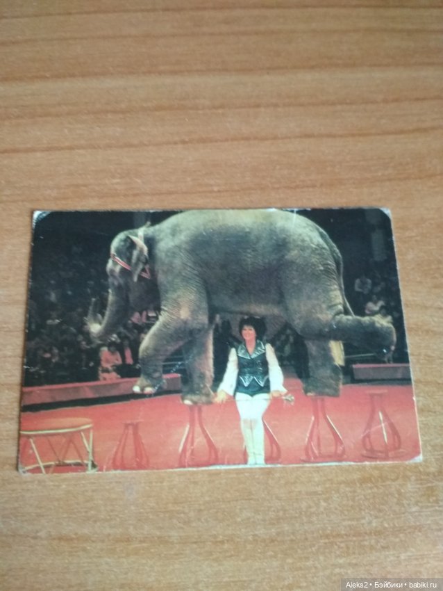 Мои карманные календарики Советский цирк из детства 6 часть (фото 10)