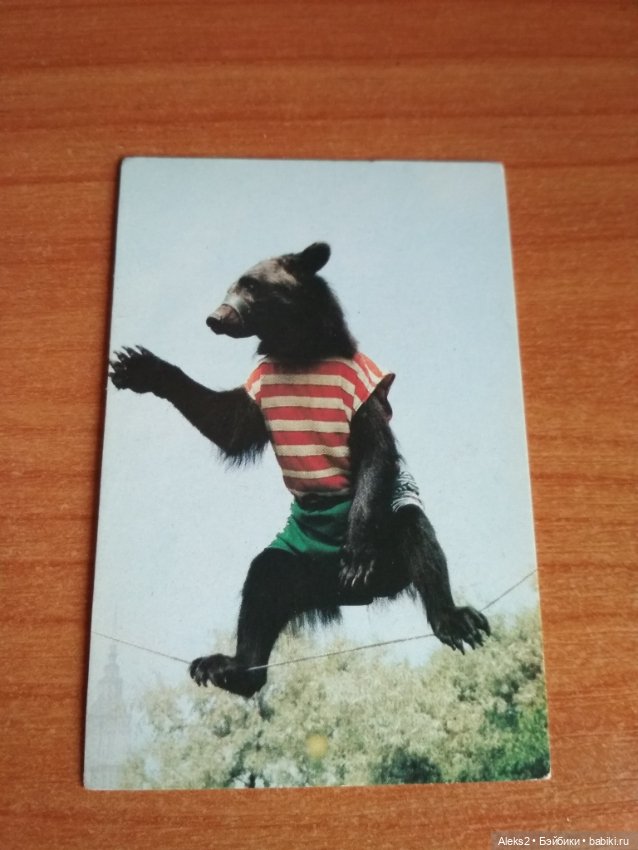 Мои карманные календарики Советский цирк из детства 7 часть