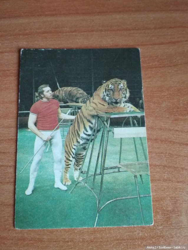 Мои карманные календарики Советский цирк из детства 5 часть
