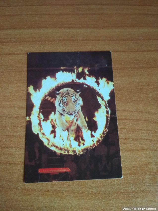 Мои карманные календарики Советский цирк из детства 5 часть (фото 8)