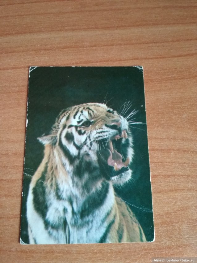 Мои карманные календарики Советский цирк из детства 5 часть