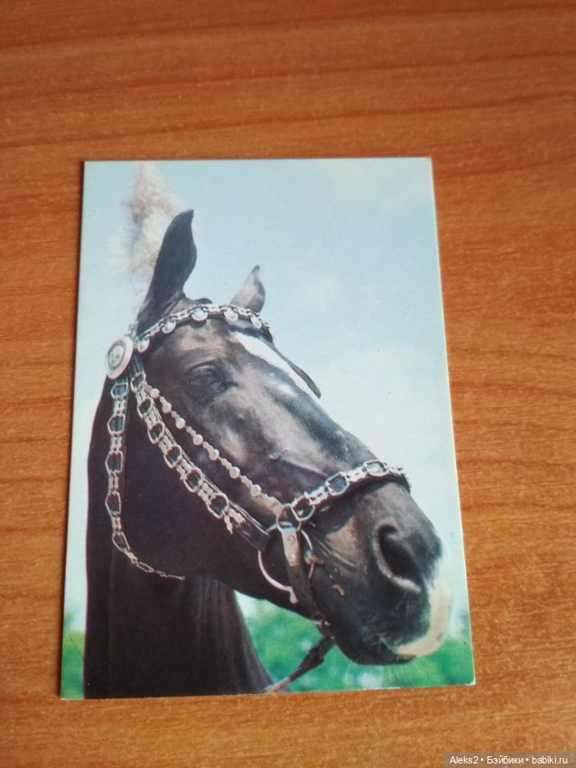 Мои карманные календарики Советский цирк из детства 7 часть