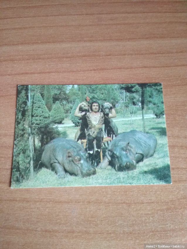 Мои карманные календарики Советский цирк из детства 6 часть