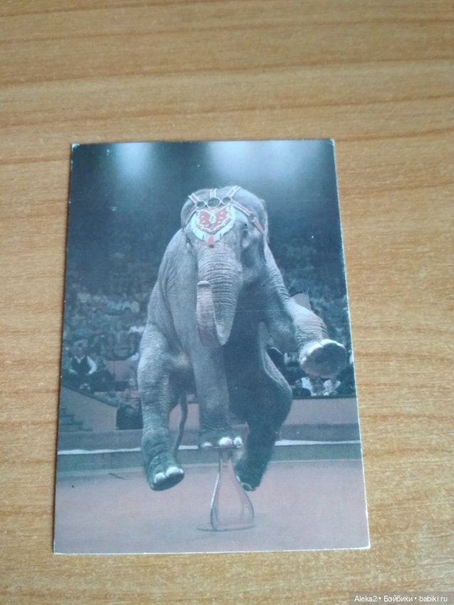 Мои карманные календарики Советский цирк из детства 6 часть