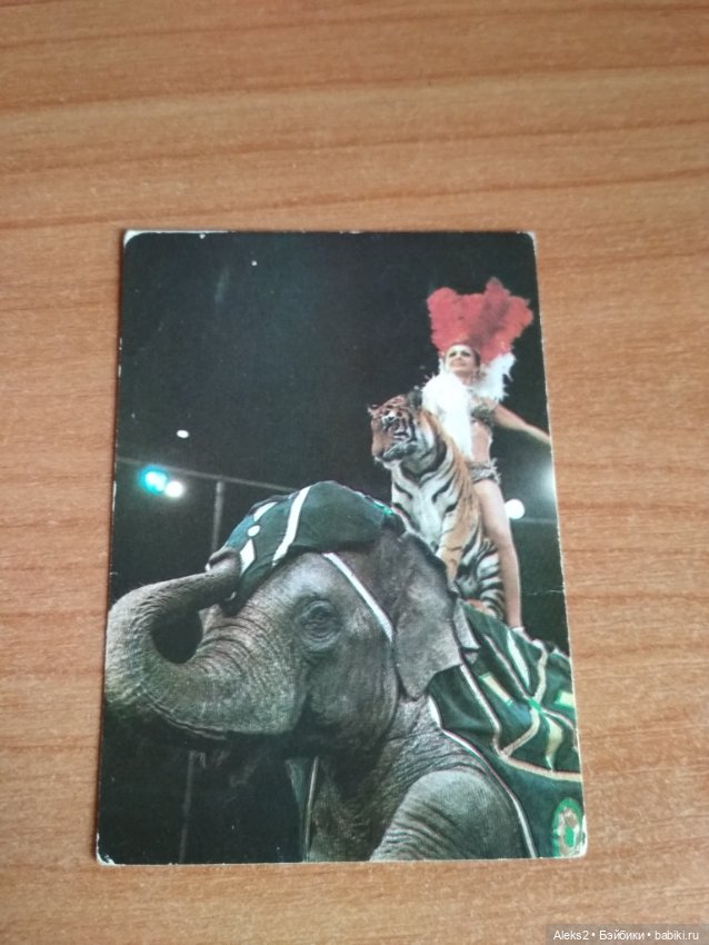 Мои карманные календарики Советский цирк из детства 6 часть