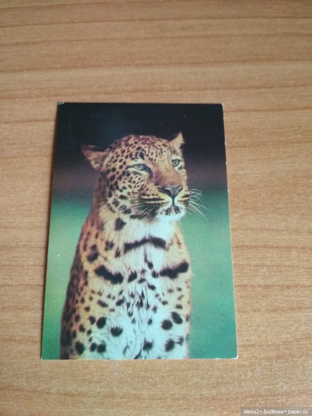 Мои карманные календарики Советский цирк из детства 5 часть (фото 10)