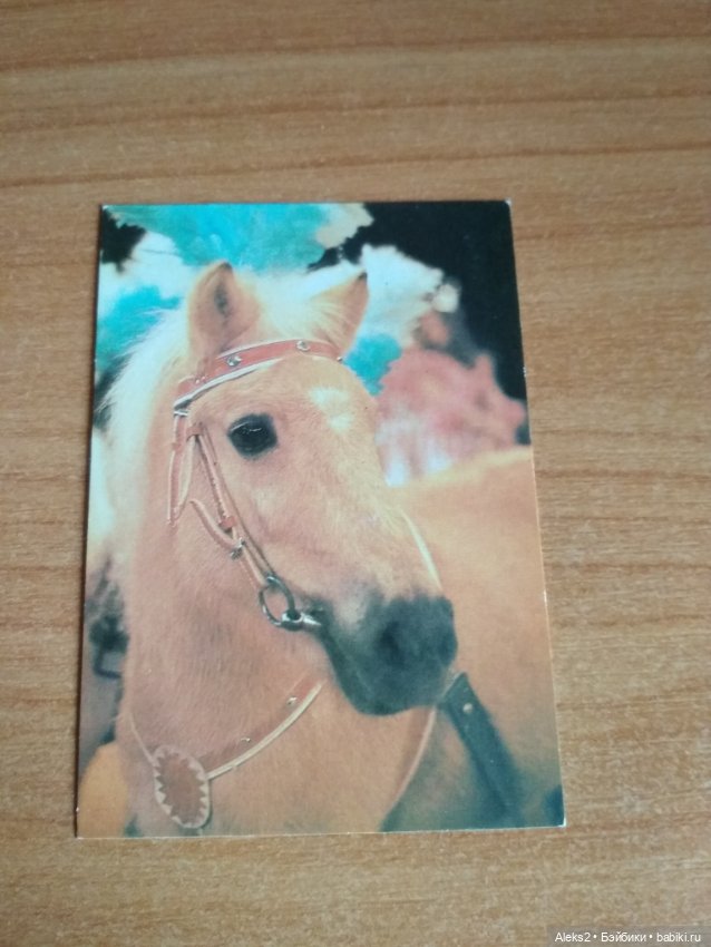 Мои карманные календарики Советский цирк из детства 7 часть