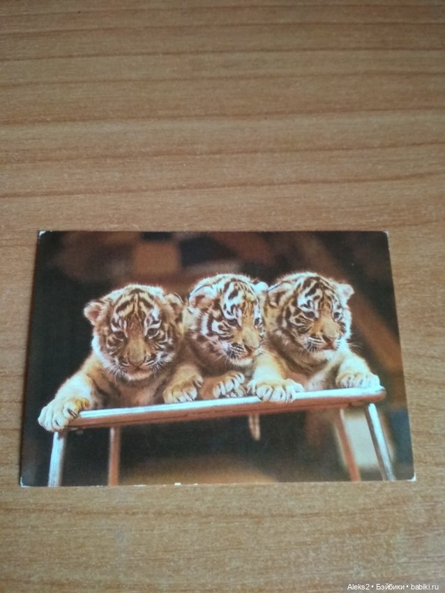 Мои карманные календарики Советский цирк из детства 5 часть