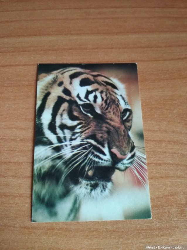 Мои карманные календарики Советский цирк из детства 5 часть