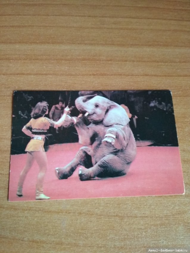 Мои карманные календарики Советский цирк из детства 6 часть