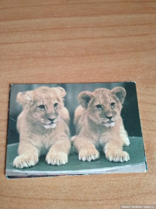 Мои карманные календарики Советский цирк из детства 5 часть (фото 3)