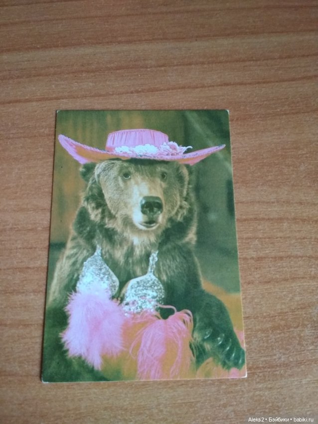 Мои карманные календарики Советский цирк из детства 7 часть (фото 9)