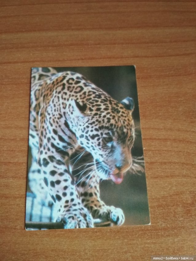 Мои карманные календарики Советский цирк из детства 5 часть