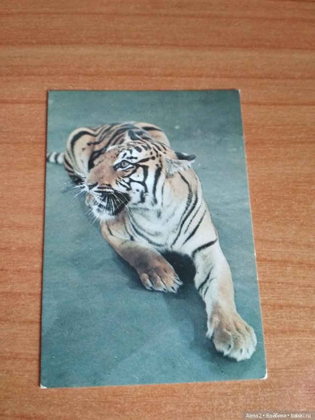 Мои карманные календарики Советский цирк из детства 5 часть