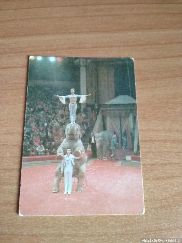 Мои карманные календарики Советский цирк из детства 6 часть