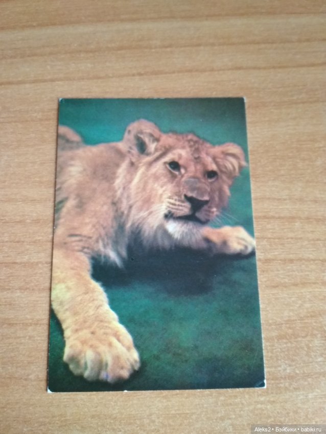 Мои карманные календарики Советский цирк из детства 5 часть (фото 4)