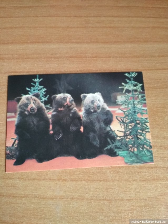 Мои карманные календарики Советский цирк из детства 7 часть (фото 7)