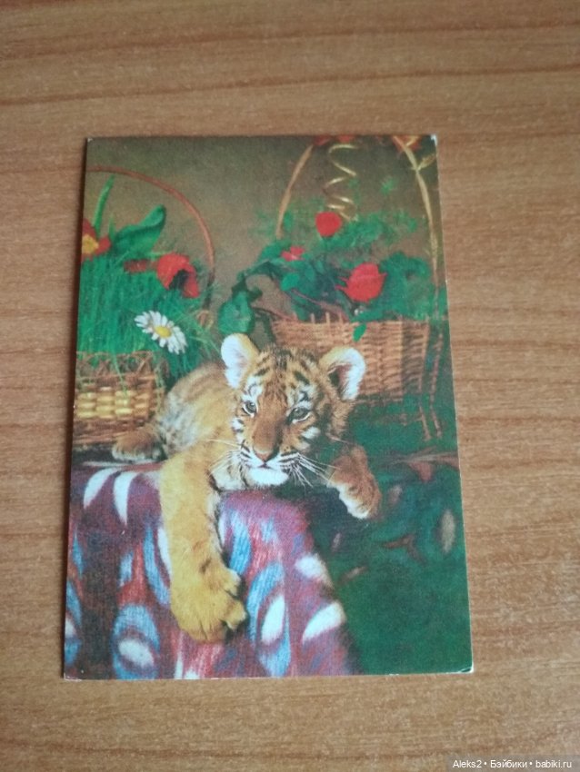 Мои карманные календарики Советский цирк из детства 5 часть (фото 5)