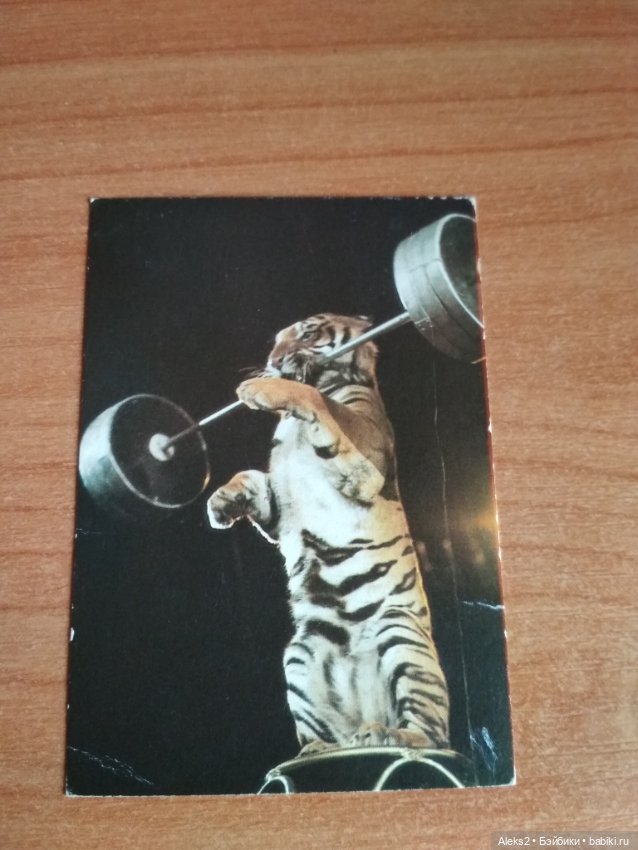 Мои карманные календарики Советский цирк из детства 5 часть
