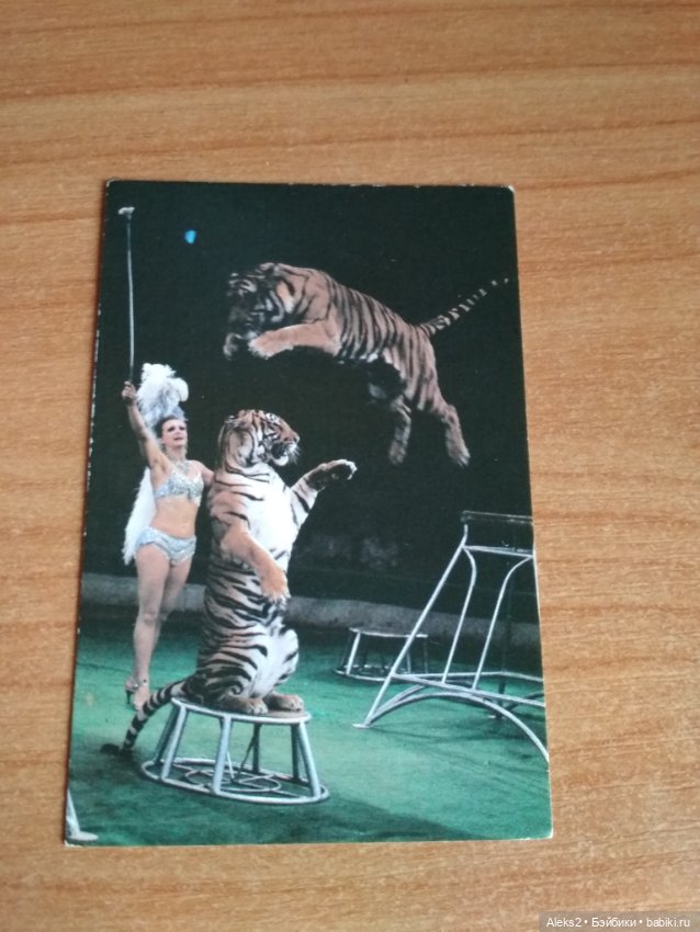 Мои карманные календарики Советский цирк из детства 6 часть (фото 5)