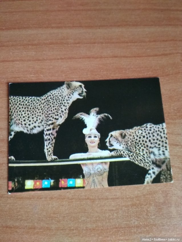 Мои карманные календарики Советский цирк из детства 5 часть