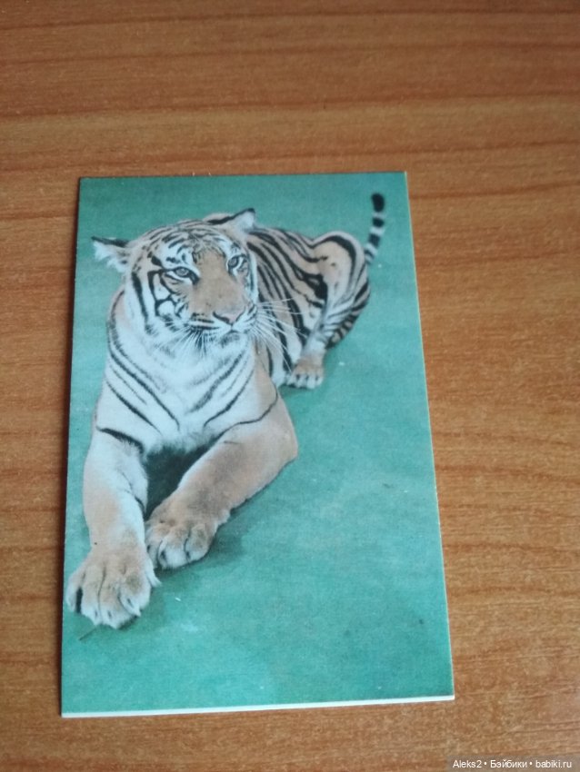 Мои карманные календарики Советский цирк из детства 5 часть