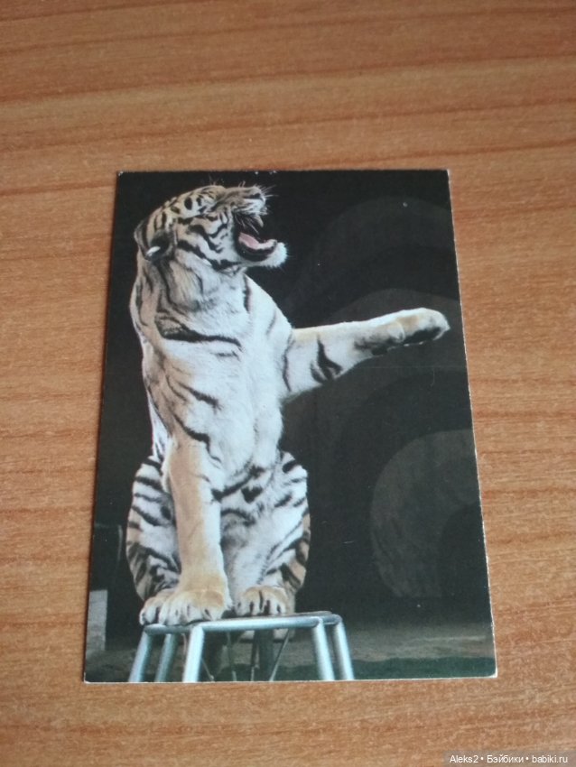 Мои карманные календарики Советский цирк из детства 5 часть