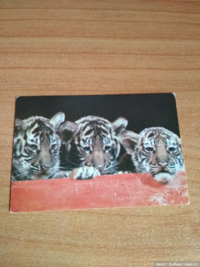 Мои карманные календарики Советский цирк из детства 5 часть