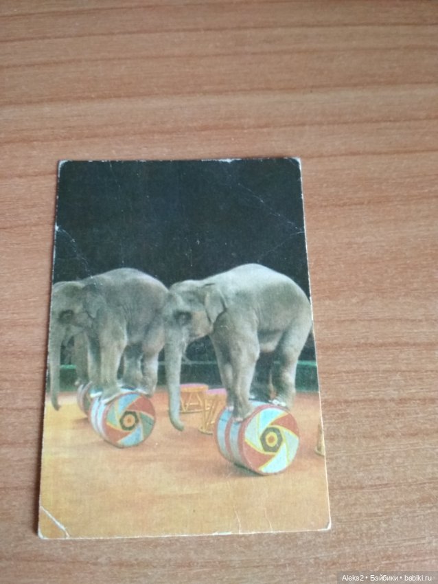 Мои карманные календарики Советский цирк из детства 6 часть