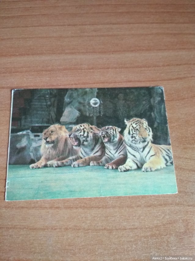 Мои карманные календарики Советский цирк из детства 5 часть