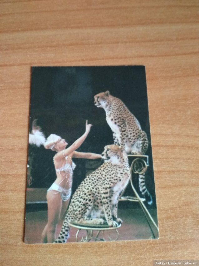 Мои карманные календарики Советский цирк из детства 6 часть (фото 4)