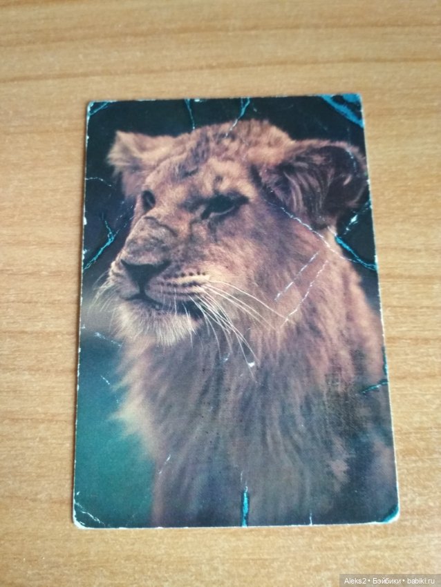 Мои карманные календарики Советский цирк из детства 5 часть (фото 2)