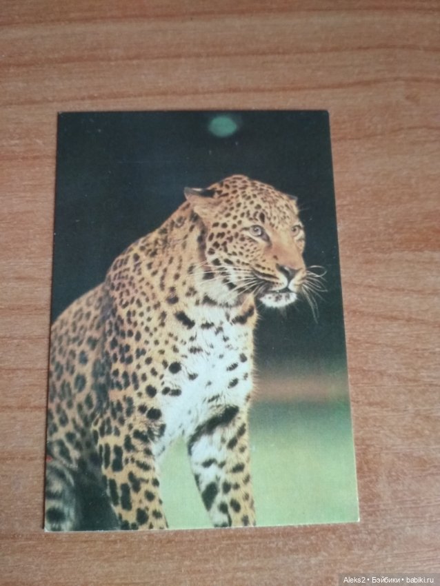 Мои карманные календарики Советский цирк из детства 5 часть