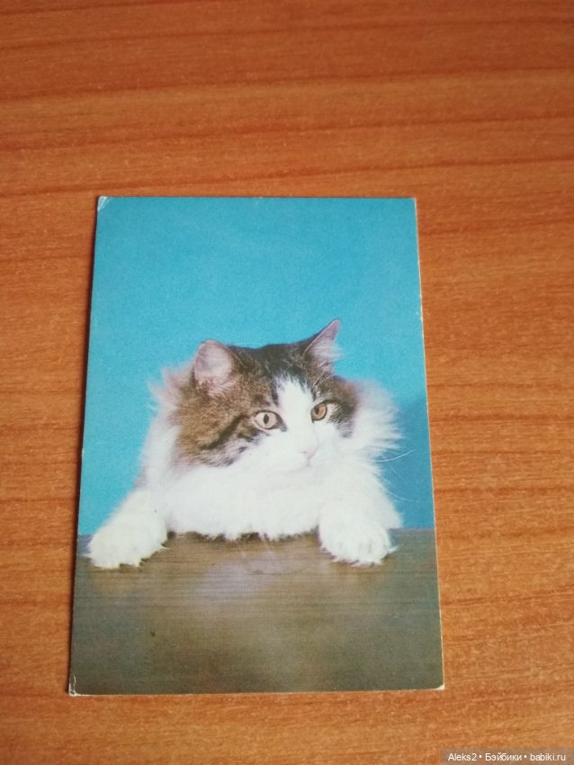 Мои карманные календарики Советский цирк из детства 8 часть