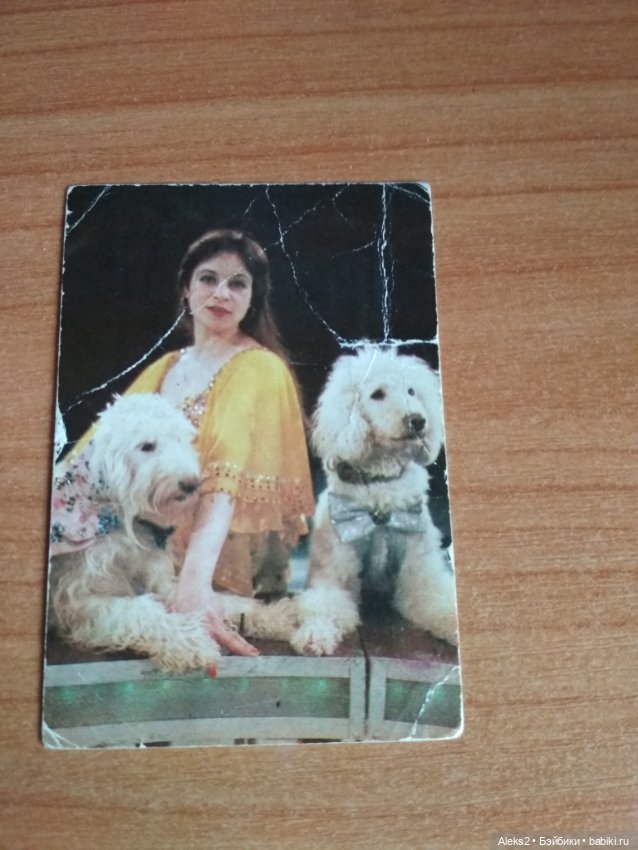 Мои карманные календарики Советский цирк из детства 8 часть