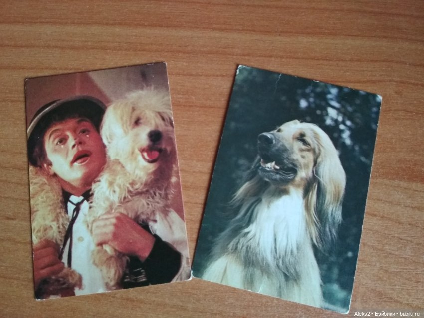 Мои карманные календарики Советский цирк из детства 8 часть