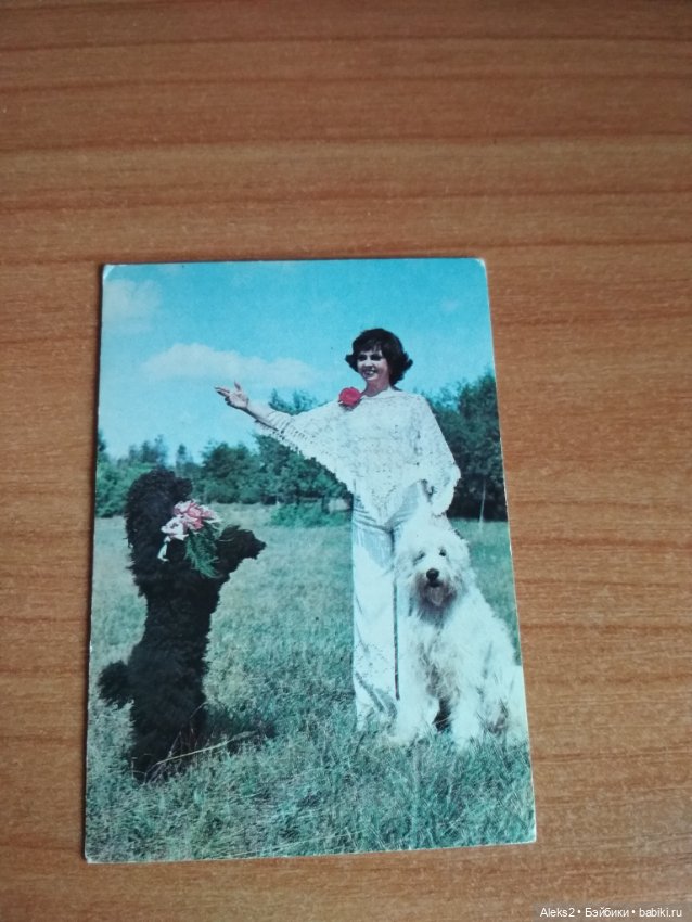 Мои карманные календарики Советский цирк из детства 8 часть