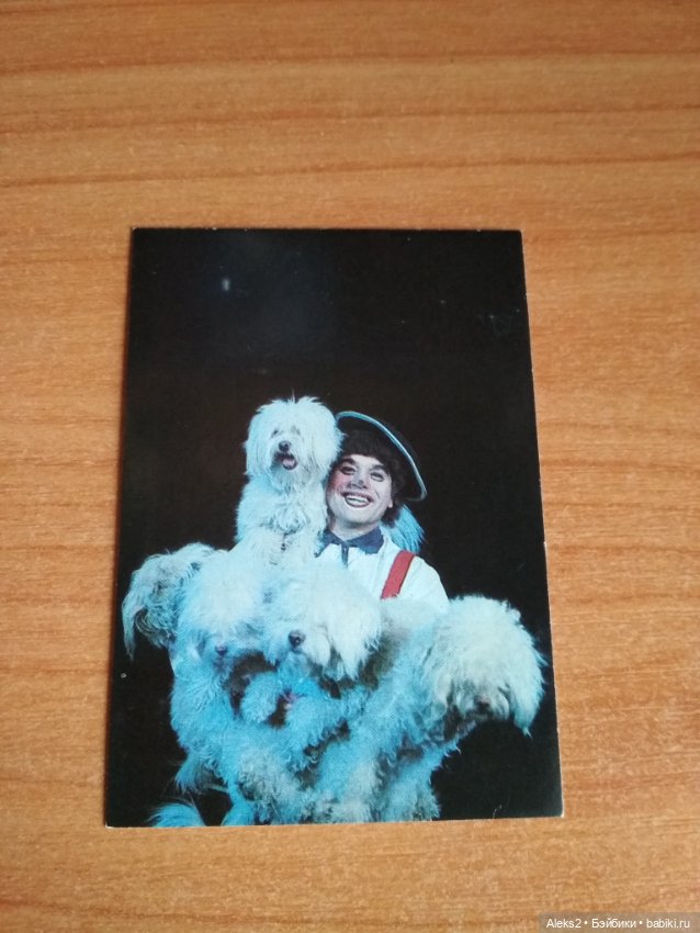 Мои карманные календарики Советский цирк из детства 8 часть (фото 5)