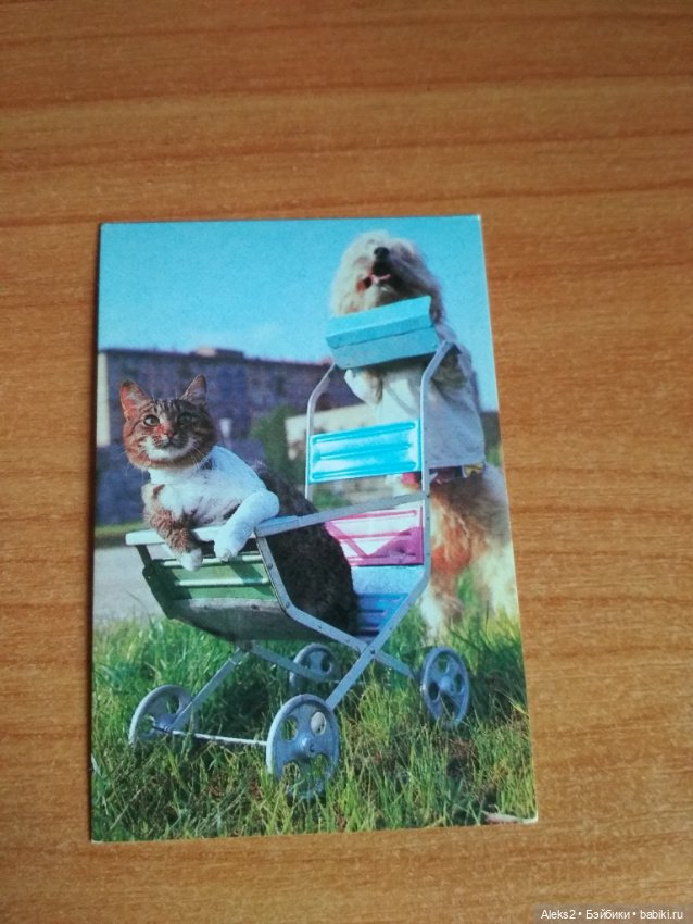 Мои карманные календарики Советский цирк из детства 8 часть