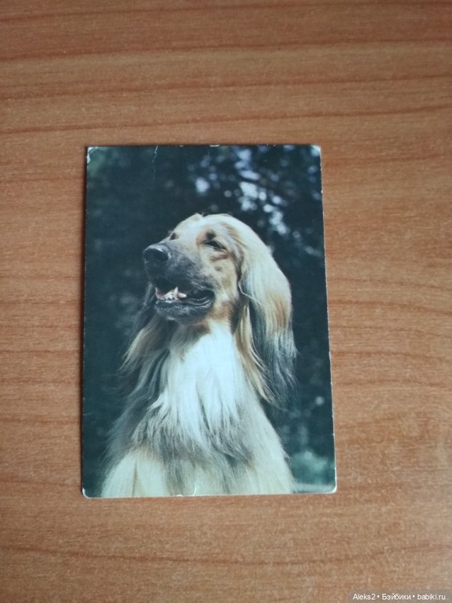 Мои карманные календарики Советский цирк из детства 8 часть