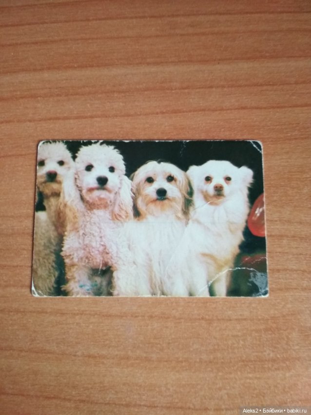 Мои карманные календарики Советский цирк из детства 8 часть