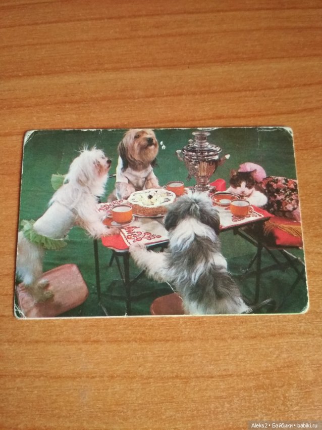 Мои карманные календарики Советский цирк из детства 8 часть