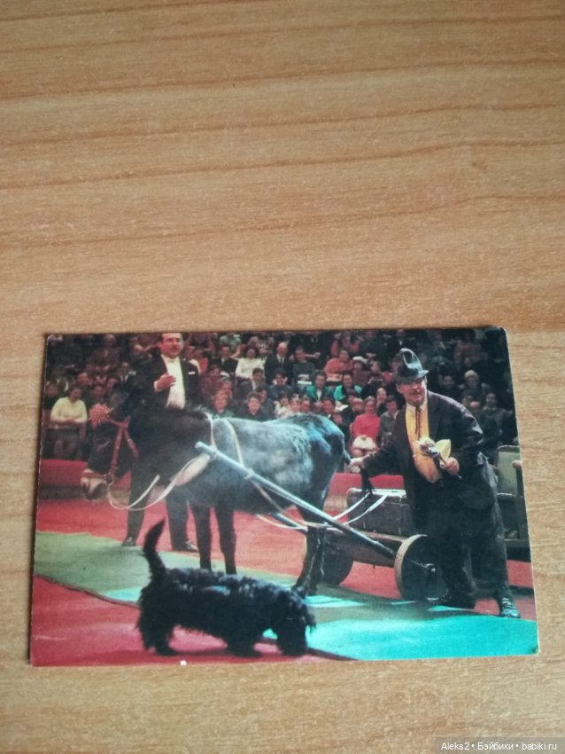 Мои карманные календарики Советский цирк из детства 8 часть