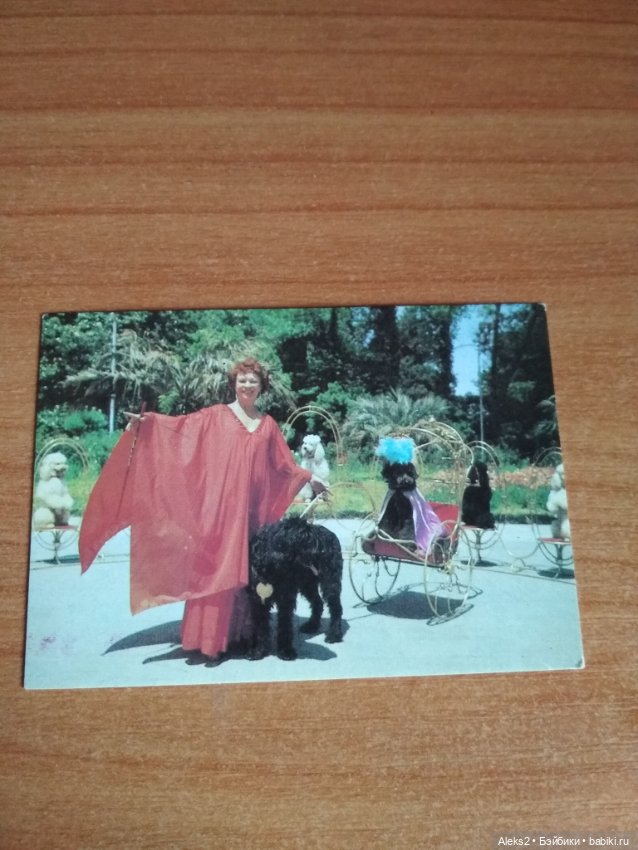 Мои карманные календарики Советский цирк из детства 8 часть (фото 10)