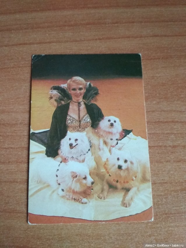 Мои карманные календарики Советский цирк из детства 8 часть