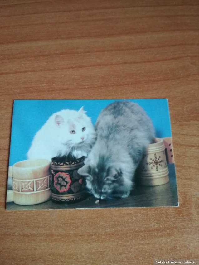 Мои карманные календарики Советский цирк из детства 8 часть