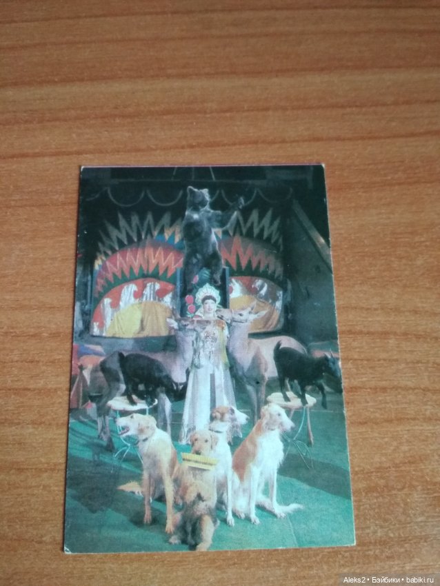 Мои карманные календарики Советский цирк из детства 8 часть