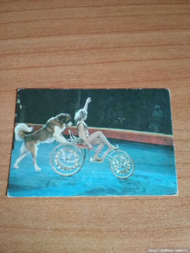 Мои карманные календарики Советский цирк из детства 8 часть